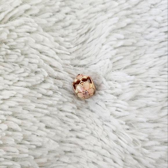 Pandora Jewelry - Pandora